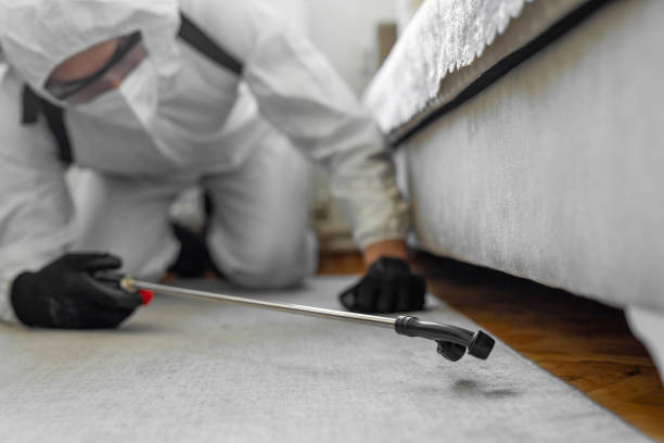 Professional Wasp Control technician working in Lake Ketchum, WA