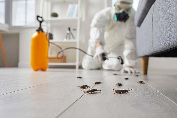 Trusted Emergency Pest Control service in Lake Ketchum, WA - Nex Pest Control