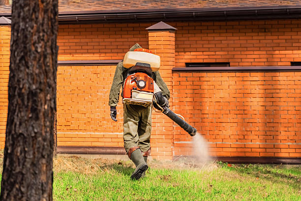 Trusted Ant Control service in Lake Ketchum, WA - Nex Pest Control